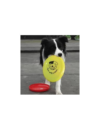 Juega Con Tu Perro Disco Volador Frisbee Mascota Feliz